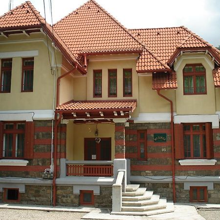Pensiunea Micsunica Sinaia Exterior foto